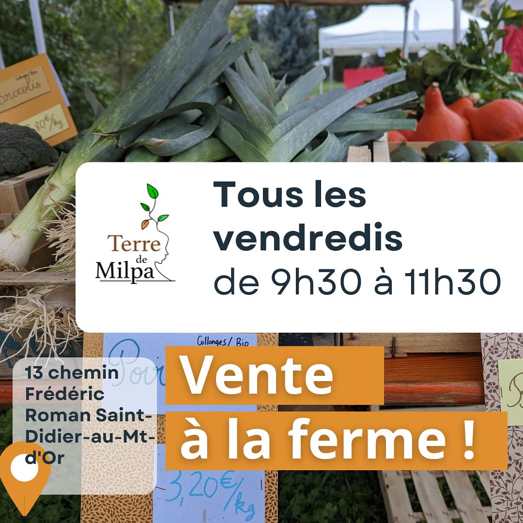 Vente à la ferme 🌱 !

Terre de Milpa continue les ventes directes de légumes tous les vendredis matins de 9h30 à 11h30 dans la cour de la ferme à Saint-Didier-au-Mont-d’Or.

Une occasion en or pour découvrir sans engagement nos savoureux légumes bio produits sur place, et peut-être de choisir l’abonnement panier qui vous convient !

A vendredi !

#agriculturebio #maraichage #ventedirecte