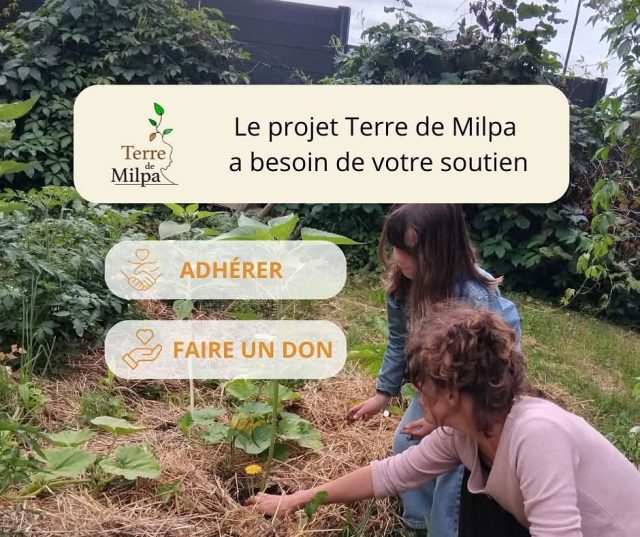Comment soutenir Terre de Milpa ? 🌱

Terre de Milpa continue d’avancer cette année, à son niveau, à plus de justice sociale, écologique et alimentaire ! Et pour cela nous avons besoin de votre soutien pour nous permettre de continuer dans la réalisation des projets de l’association.

Comment participer ?

2 solutions pour apporter votre pierre à l’édifice :
💚 En adhérant à l’association pour l’année 2025, grâce à une cotisation annuelle de 10 € en adhésion simple ou 50€ en adhésion de soutien (et 2€ en tarif solidaire), valable du 1er janvier au 31 décembre
➡ Votre adhésion permet de donner du poids à l’association.

💚 En faisant un don, vous nous aidez concrètement à mettre en œuvre toutes nos actions et cela vous permet de déduire 66 % de son montant de votre impôt sur le revenu.

Pour soutenir Terre de Milpa ➡ https://www.helloasso.com/associations/terre-de-milpa

#adhésion #association #adhérent #soutien #terredemilpa #maraichage #insertion #ACI #bio #montdor #stdidieraumontdor