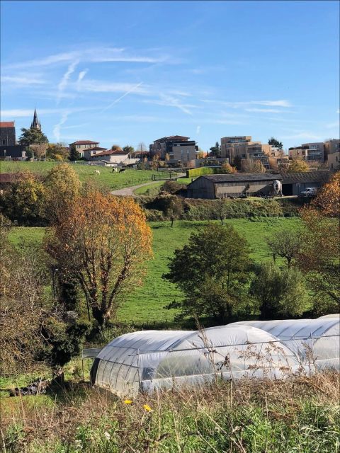 Terre de Milpa sous les couleurs d’automne🍂

À la ferme, l’automne s’est installé depuis un moment déjà : les feuilles recouvrent les allées et les couleurs chaudes enveloppent le paysage. C’est la saison des récoltes tardives, mais aussi de la préparation silencieuse pour ce qui germera demain. 
#TerreDeMilpa #automne #ferme #vivant #couleursdautomne #transitionagricole
