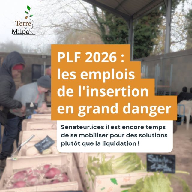 🚨 PLF 2026 : les emplois de l'insertion en grand danger ! 

Le Projet de Loi de Finances 2026 prévoit une baisse de 14% du budget IAE en région Auvergne-Rhône-Alpes, soit 20 millions d'euros en moins.
➡️ Cela menace 5 000 personnes accompagnées, le licenciement économique de plus de 300 encadrants et travailleuses sociales, équivalent à la disparition de toutes les structures d'insertion de la Loire ET de la Drôme au 1er janvier 2026!

Pire, cette coupe aura l'effet inverse sur les comptes publics !

Dans ce contexte d'austérité budgétaire forte, Sénateur·ices, il est encore temps de voter solutions plutôt que liquidation ! 
Mobilisez-vous massivement pour préserver ces emplois essentiels et les parcours d'insertion qui font la différence. 

La FAS et IAE alertent sur ce plan de liquidation à grande ampleur 
📢 Conférence de presse le 3/12 chez UVE à Villeurbanne pour alerter et agir ensemble. 

#PLF2026 #Insertion #IAE #FAS #TerreDeMilpa