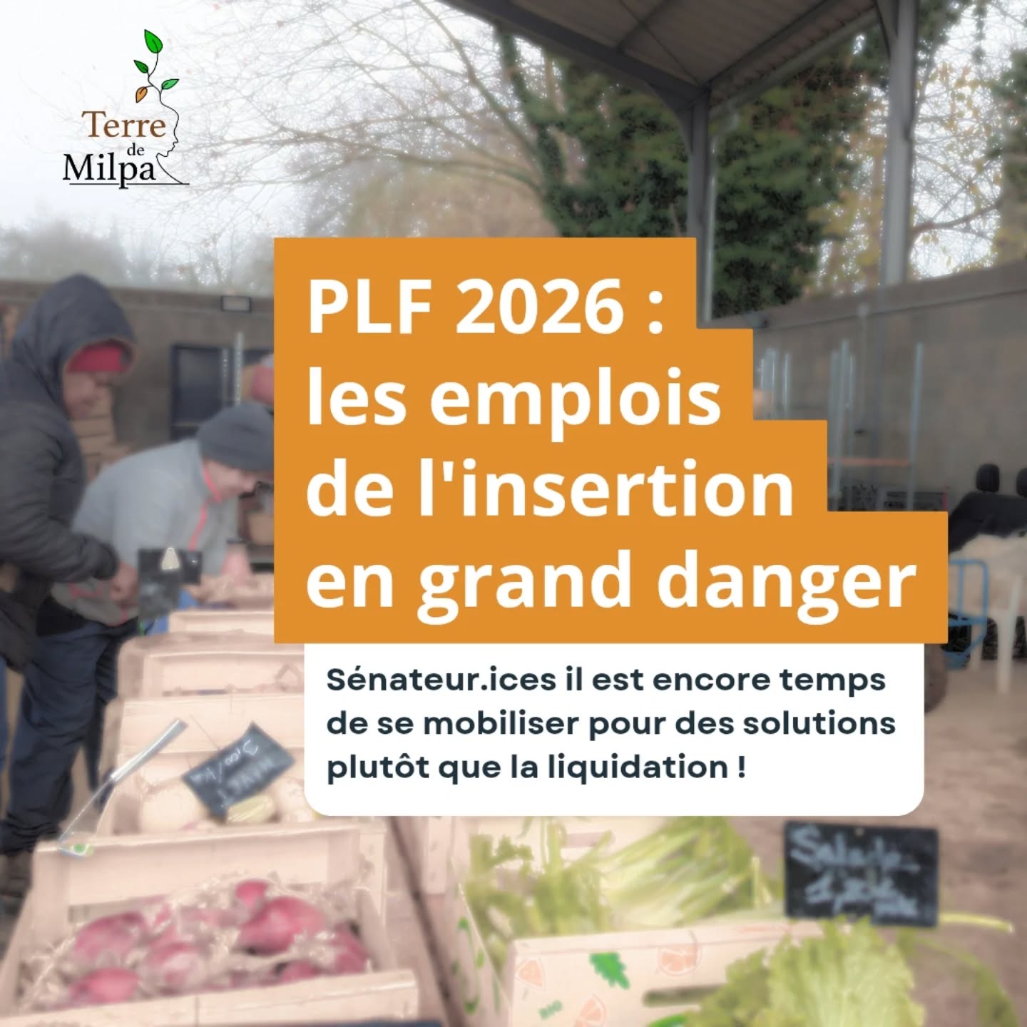 🚨 PLF 2026 : les emplois de l'insertion en grand danger ! 

Le Projet de Loi de Finances 2026 prévoit une baisse de 14% du budget IAE en région Auvergne-Rhône-Alpes, soit 20 millions d'euros en moins.
➡️ Cela menace 5 000 personnes accompagnées, le licenciement économique de plus de 300 encadrants et travailleuses sociales, équivalent à la disparition de toutes les structures d'insertion de la Loire ET de la Drôme au 1er janvier 2026!

Pire, cette coupe aura l'effet inverse sur les comptes publics !

Dans ce contexte d'austérité budgétaire forte, Sénateur·ices, il est encore temps de voter solutions plutôt que liquidation ! 
Mobilisez-vous massivement pour préserver ces emplois essentiels et les parcours d'insertion qui font la différence. 

La FAS et IAE alertent sur ce plan de liquidation à grande ampleur 
📢 Conférence de presse le 3/12 chez UVE à Villeurbanne pour alerter et agir ensemble. 

#PLF2026 #Insertion #IAE #FAS #TerreDeMilpa