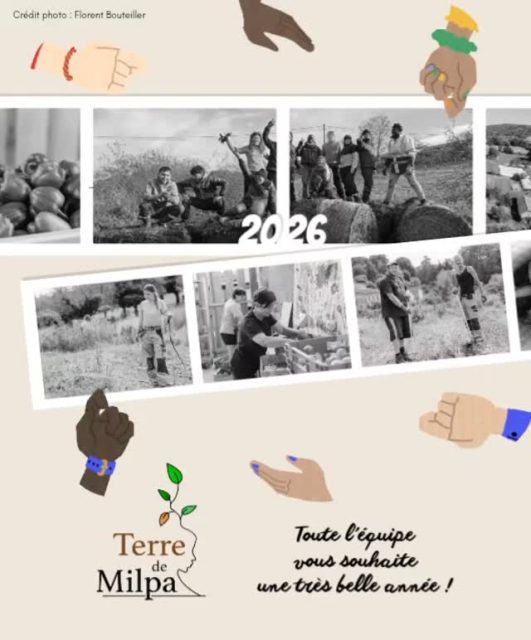 ✨ Toute l'équipe Terre de Milpa vous souhaite une très belle année ✨

Nous sommes ravi.e.s de débuter cette année à vos côtés, pour avancer ensemble vers la réalisation de tous nos projets, et nous avons hâte de découvrir ce que nous réserve cette nouvelle année 2026 !

👉 Pour renouveler votre soutien à l'association, pensez à prendre votre adhésion 2026 : RDV dans le lien en bio !

#vœux #nouvelleannée #association #TDM #engagement