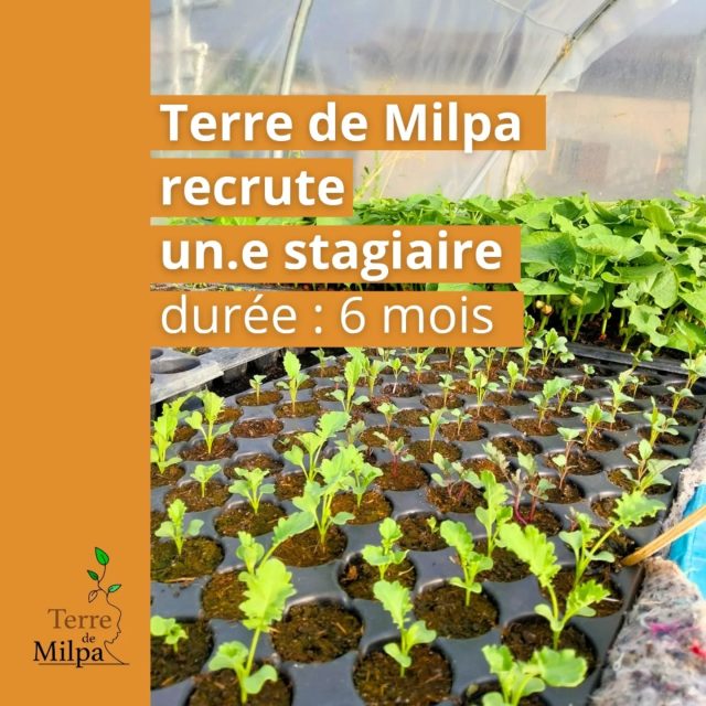 A la recherche d'un stage de 6 mois plein de sens pour valider ton M2 ?

Ca tombe bien, l'équipe Terre de Milpa recherche un.e étudiant.e de Master 2 polyvalent.e, motivé.e et curieux.se, qui partage ses valeurs et qui souhaite s'investir dans un projet agroécologique et solidaire

L'annonce complète est disponible ici 👆🏿👆🏾👆

#recrutement #stage #master