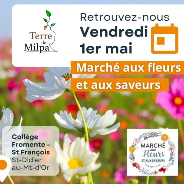 🌻 Retrouvez Terre de Milpa au Marché aux Fleurs et aux saveurs de Saint-Dider-au-Mont-d'Or !

Découvrez l'association, notre production de légumes bio & locaux, nos postes ouverts en insertion... et nos plans de légumes!

RDV le 1er mai de 9h à 18h au collège Fromente St François : 1 Rte de Champagne, 69370 Saint-Didier-au-Mont-d'Or.

#association #stdidieraumontdor #1ermai #fetedesfleurs