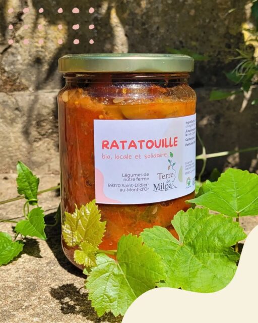 🫙 A déguster dès vendredi ! 

Les nouveaux bocaux Terre de Milpa arrivent 🤩
Velouté, ratatouille, tomate, pickles, confitures, tartinades, pesto... C'est la régalade assurée !

Cette année, les recettes de nos bocaux changent et ils ont été fabriqués par la ferme d'insertion les @lesjardinsdelucie , près de Lyon.

Retrouvez-les à la ferme Terre de Milpa ce vendredi 18 septembre de 9h30 à 12h30, pour une session dégustation !!

Et ensuite en vente à la ferme chaque vendredi, et dispo au Comptoir Fortunella à Saint-Fortunat et sur notre site https://terredemilpa.cocagnebio.fr/!

#bocaux #conservebio #recettesbio #jardindecocagne