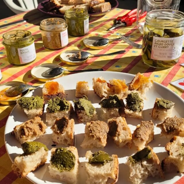 Verdict ?? Vous avez adoré !!!
🫙🍆 Depuis le 19 septembre nos nouveaux bocaux sont disponibles le vendredi matin sur la vente à la ferme, sur notre site Cocagne et à la boutique @comptoirfortunella !
Découvrez bientôt les coups de 💓 de la dégustation de nos clients et de l'équipe !
Bonne régalade !
#legumesbio #bocaux #recettesbio #maraichage