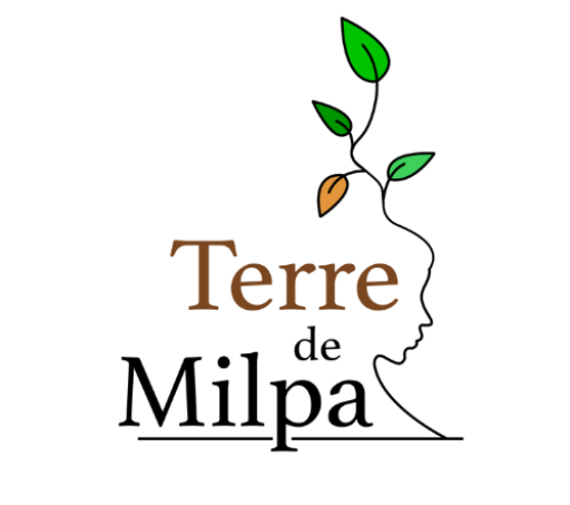 Terre de Milpa