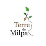 @terredemilpa